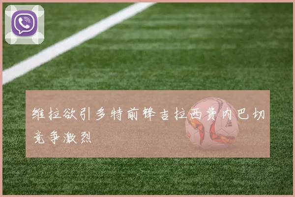 维拉欲引多特前锋吉拉西费内巴切竞争激烈